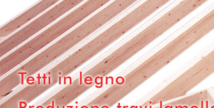 Tetti in Legno