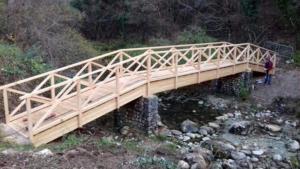 Tetti e strutture in legno