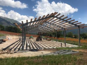 Tetti e strutture in legno